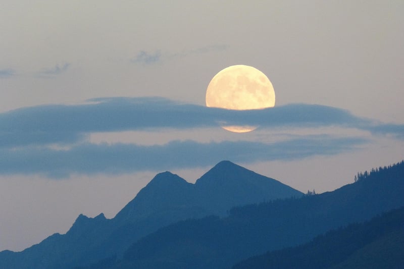 Moonlit Magic Color Palette